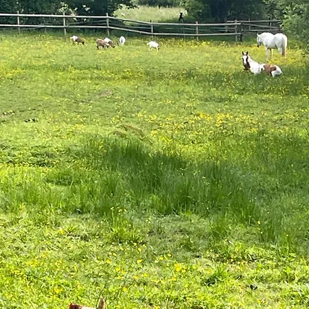 Odonatura Bed & Breakfast