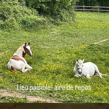 Bed & Breakfast Odonatura Saint-Nicolas-des-Bois (Orne)