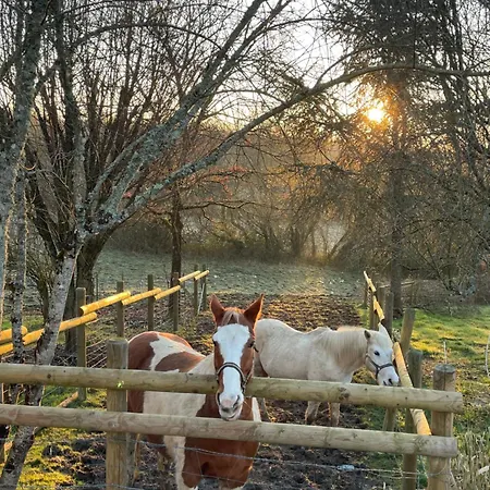 Bed & Breakfast Odonatura Saint-Nicolas-des-Bois (Orne)
