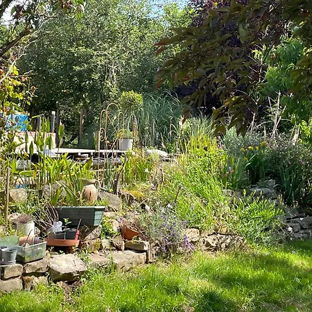 Odonatura Saint-Nicolas-des-Bois (Orne)