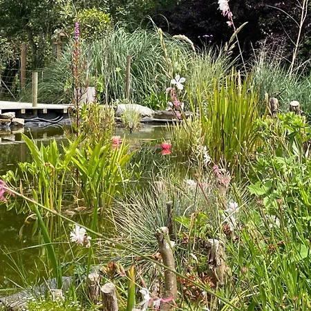 Bed & Breakfast Odonatura Saint-Nicolas-des-Bois (Orne)