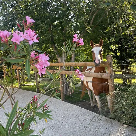 Bed & Breakfast Odonatura Saint-Nicolas-des-Bois (Orne)