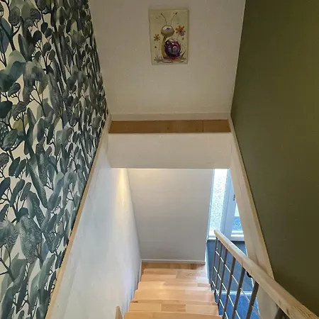 Odonatura 3* Saint-Nicolas-des-Bois (Orne)