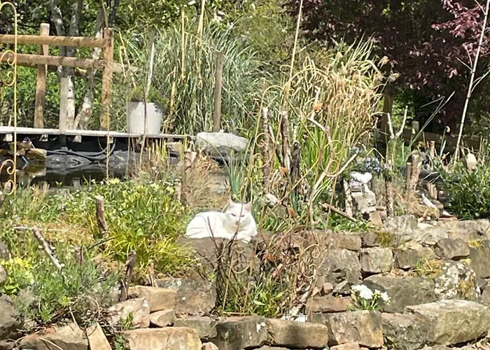 Odonatura Bed & Breakfast 3*