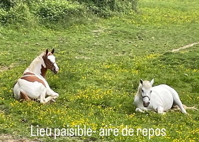 Bed & Breakfast Odonatura Saint-Nicolas-des-Bois (Orne)