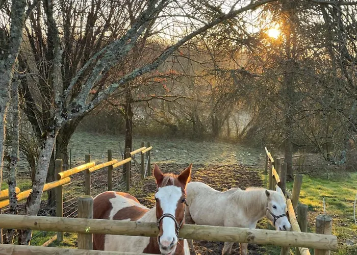 Bed & Breakfast Odonatura Saint-Nicolas-des-Bois (Orne)