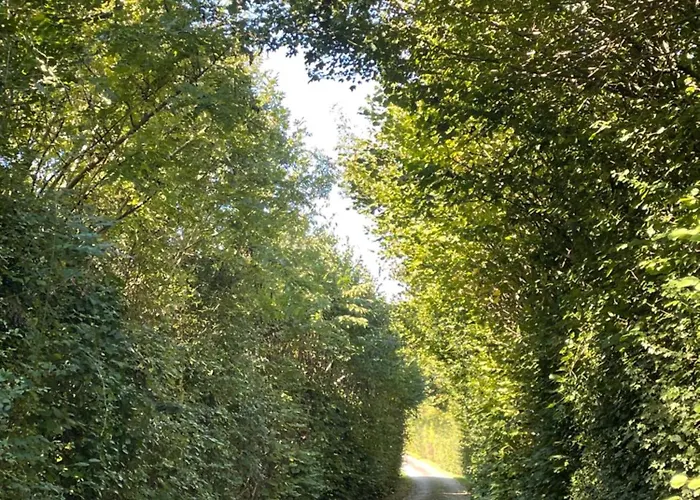 Bed & Breakfast Odonatura Saint-Nicolas-des-Bois (Orne)