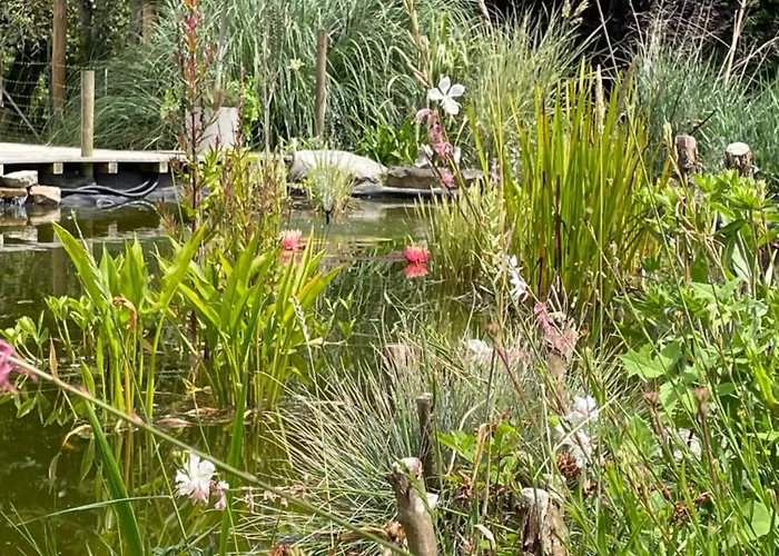 Bed & Breakfast Odonatura Saint-Nicolas-des-Bois (Orne)