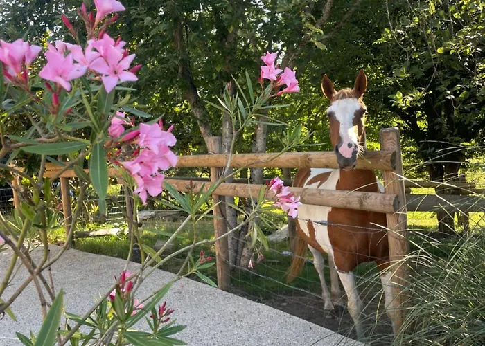 Bed & Breakfast Odonatura Saint-Nicolas-des-Bois (Orne)